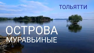 Муравьиные острова | Тольятти. Небольшая вечерняя экскурсия на острова