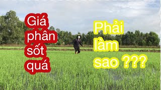 Giải pháp tiết kiệm phân bón | VVC