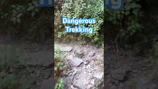 Dangerous Trekking | Trekking in Lansdowne | #traveller #adventure #camping #lifestyle