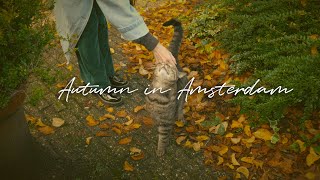 Autumn in Amsterdam - Cozy Bookstore, Vintage Toyshop, Vegan Ramen, Cottagecore Gardens, Rainy Walk