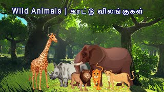 Wild Animal sounds | காட்டு விலங்குகளின் சத்தங்கள் | Tamil special | @tamilspecial