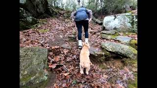 Ross Cliffs Climb, Danielson, CT -  Kelli and Roxy 1-27-24 Beaudog