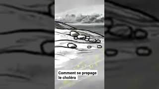 comment se propage le choléra