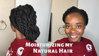 CURLY HAIR SOLUTIONS - Moisturizing my Scalp and Hair  | Natural Hair Care