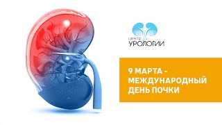 9 Марта - День почки