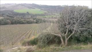 Brunello from Tenuta Buon Tempo