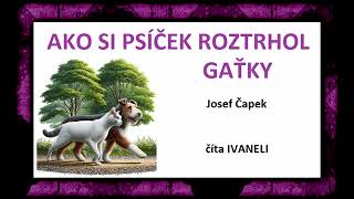 Josef Čapek - AKO SI PSÍČEK ROZTRHOL GAŤKY (audio rozprávka)