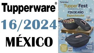 CATALOGO  TUPPERWARE  TUPPER  TIPS  16  /  2024  MÉXICO