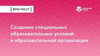 Создание специальных образовательных условий в образовательной организации