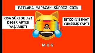 Moge Token Analiz ve Güncel Gelişmeler