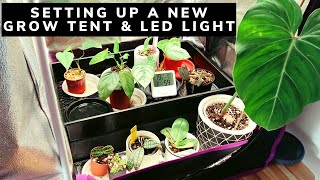 Spider Farmer (SF-1000) LED and Grow Tent Setup + Houseplant Light Requirements & Photosynthesis