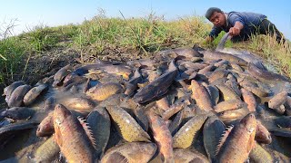 Catching fish a lot of in the field at flooding, caught many big fish by hand  fisherman