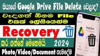 How To Recover Deleted Google Drive All File 2024 | Google Drive Deleted File Recovery | Sri Network