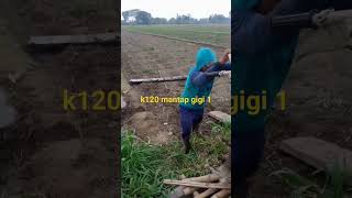 k120# traktor sawah#rotary#sahabat tani# indonesia