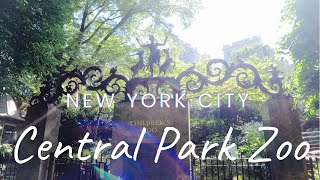 Walking around the Central Park Zoo 4K Ultra HD