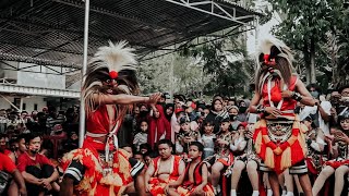 Kentong dan Pongge PENTAS Bersama Maharani Dan Malla Kitty