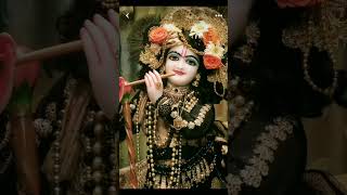 hamen bhi sunao wo bansuri Ki dhun | 🪈🌿💞 #radhekrishna #krishnastatus #shorts #short #youtubeshorts