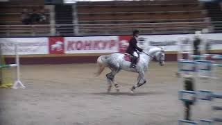 163 - sale - grey geldng 2014 - show jumping horses - продажа лошадей конкур