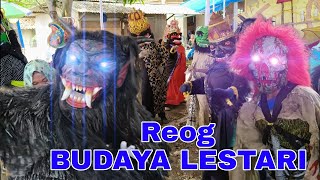 LIVE STREAMING REOG BUDAYA LESTARI DI DESA SUKASARI BLOK GERDU