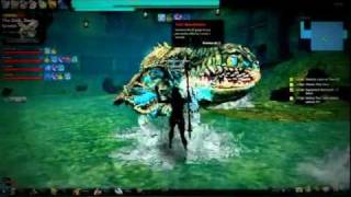 2011/10/20 Vindictus Thor run +BO