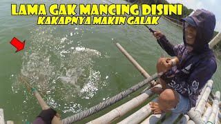 Akam Maar..!!! Setelah Lama Gak Mancing Disini, Ikan Kakapnya Makin Banyak!