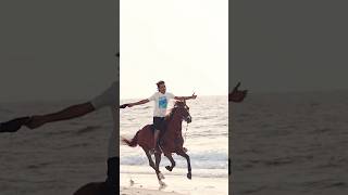 Dubai beach horse riding #horseriding #horselover #beach #horseride #horse