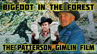 BIGFOOT IN THE FOREST - THE PATTERSON GIMLIN FILM