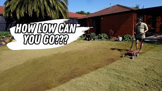 Fixing a super THICK and BUMPY lawn // Full Tif Tuf Couch/Bermuda lawn renovation