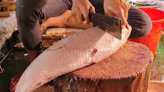 Amazing Cutting Skills | Big Rohu Fish Cutting & Chopping By Expert Fish Cutter23K views5 days ago