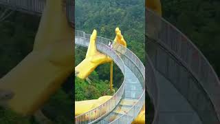 Full greenery view || beautiful bridge view || short video