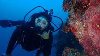 Why is scuba diving a good experience.