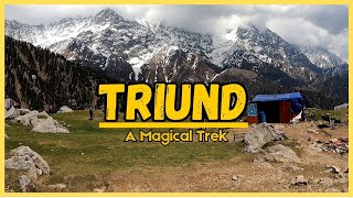 Triund I Dharamshala I धर्मशाला I Triund Trek I Meclodganj I Himachal Pradesh I Dhauladhar I Himalya