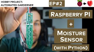 Raspberry PI + Moisture Sensor with Python (wiring, code, step-by-step walk-through)