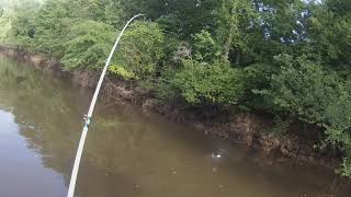 Quick hitting Kentucky Bass!