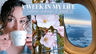 a cozy week in my life in dublin | youtube, cooking, and nature