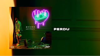 DADJU - Perdu (PAROLE/LYRICS)