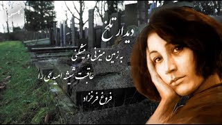 Persian Poems (ديدار تلخ)  دکلمه شعر فروغ فرخزاد / به زمين ميزني و ميشكني