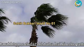 Sahih Bukhari hadees no 61 | Hadees e kisa | Hadees e Nabvi ﷺ Urdu | Islamforpeace11