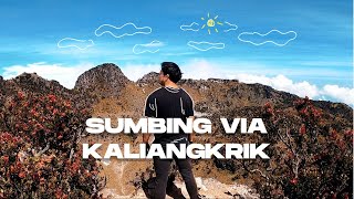 Gunung Sumbing via Nepal Van Java (Kaliangkrik)