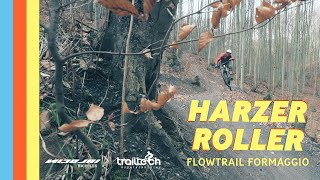 Harzer Roller - Flowtrail Formaggio / Daniel Jahn in Thale