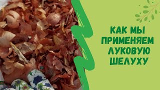 ☝🌱Как мы применяем луковую шелуху в огороде