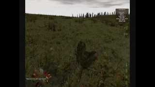 DayZ Debauchery