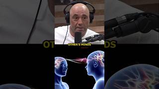 Rogan: We're Gonna Be Able to Read Each Other's Minds