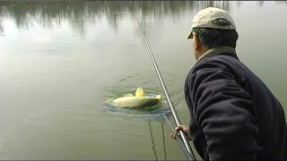 Pecanje šarana i bele ribe na Žičkom jezeru kod Kraljeva - Pecanje na štek štap | Fishing carp