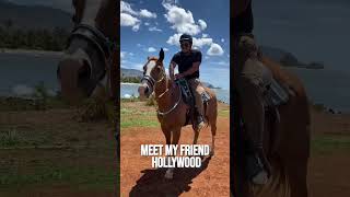 Hawaii beach front horse rides!!!