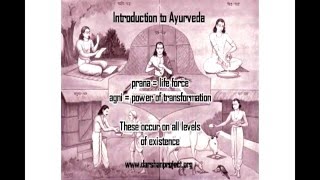 Introduction to Ayurveda Diet with reference to Hatha Yoga (1/8)