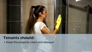 How to Prevent Condensation and Mould at a Rental Property