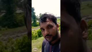 nichlaul ka jangal #sortsvlog #newvlog #minivlog #nichlaul_maharajganj #nature #vlog #ytshorts #sort