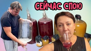 Разливаем Молодое вино🍷// жизнь в Канадской деревне