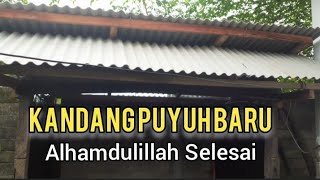 Membangun Kandang Puyuh Baru Lagi